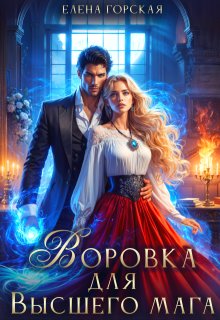 Воровка для Высшего мага (Елена Горская)